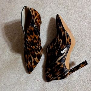 Vince Canuto 10 Leopard